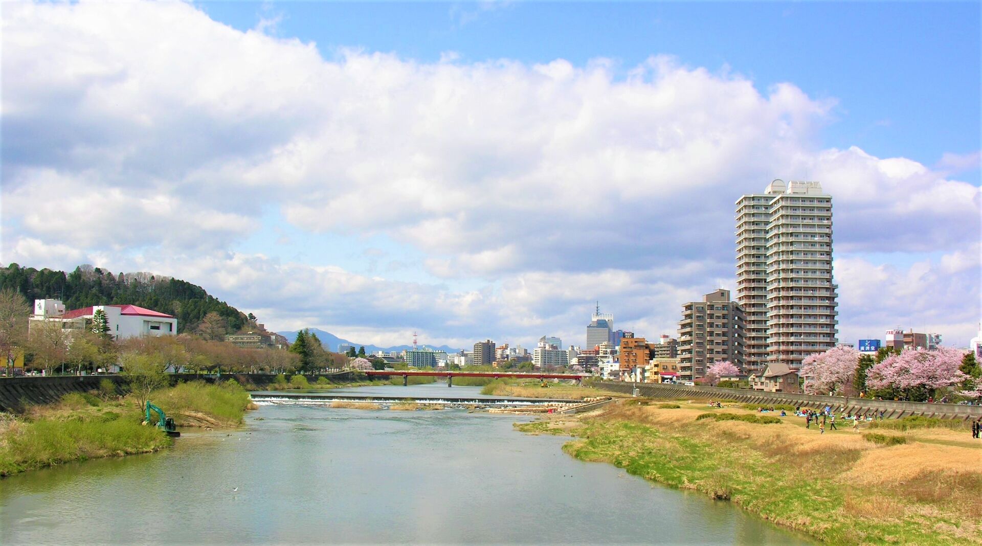 006.早春の広瀬川(4) H20.4.12 (002)
